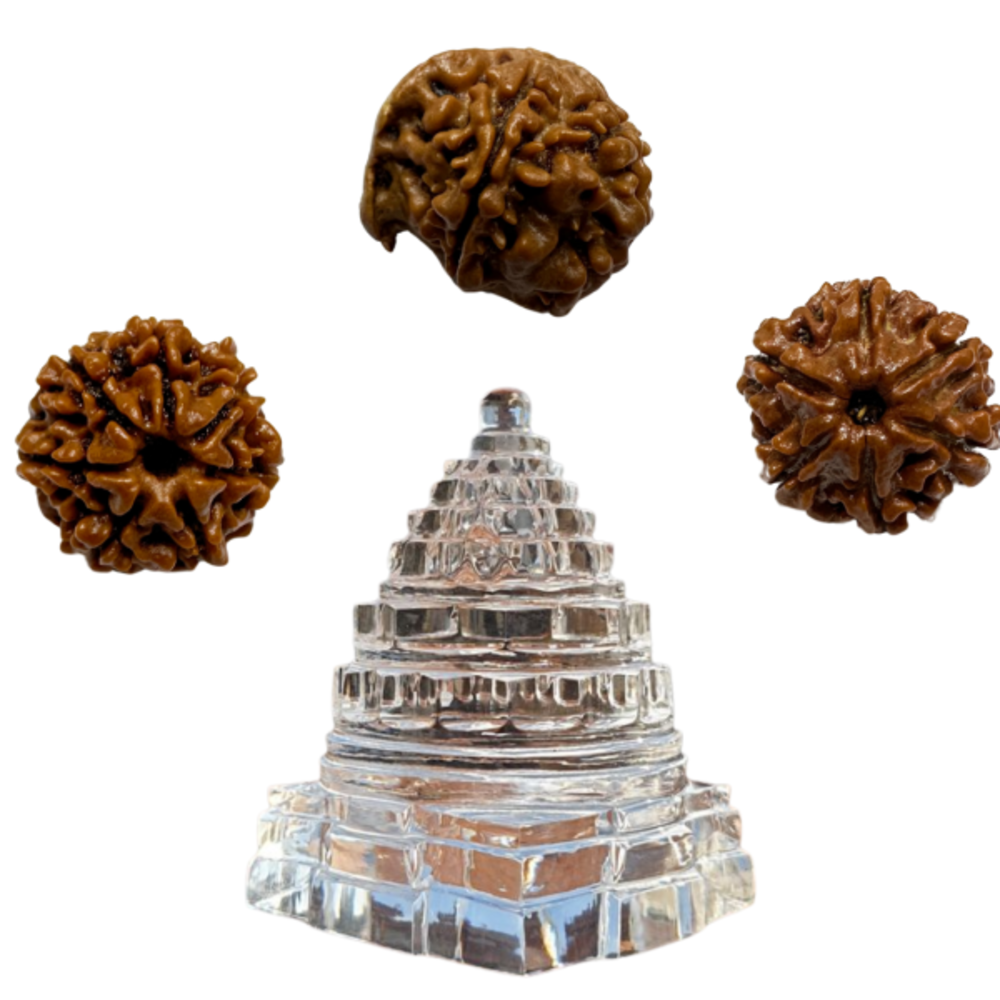 Vedikaura Shri Dhanpati Wealth Kawach – Ganesh Rudraksha, 6 & 7 Mukhi with Shree Yantra for Abundance