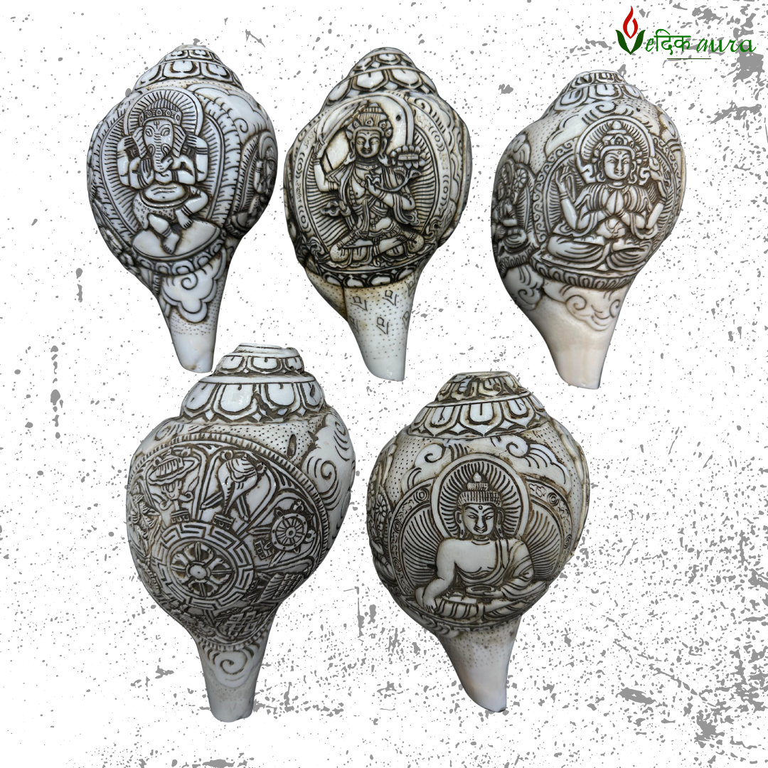 Vedikaura Authentic Nepali Hand-Carved Shankh – Sacred Ritual Conch Shell