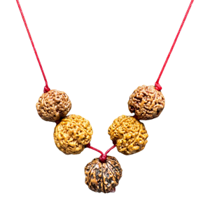 Vedikaura Nav Durga Shakti Kawach – 9, 5 & 4 Mukhi Rudraksha for Divine Feminine Power & Inner Strength