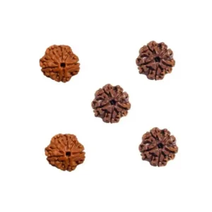 Vedikaura Anger Balancing Kawach – 8, 4 & 6 Mukhi Rudraksha for Emotional Stability & Inner Calm