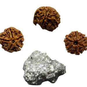 Vedikaura Cash Wallet – Ganesh Rudraksha, 6 Mukhi, 5 Mukhi & Pyrite for Abundance & Protection