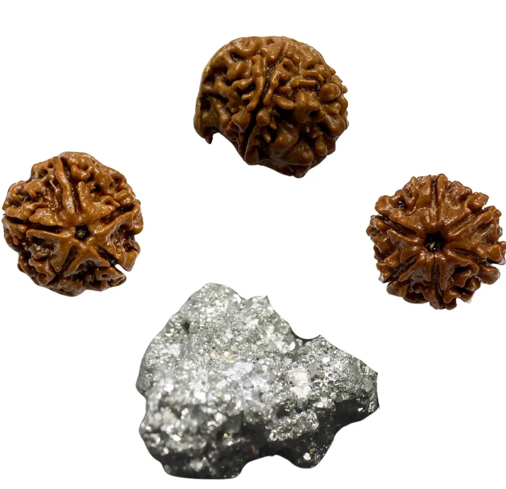 Vedikaura Cash Wallet – Ganesh Rudraksha, 6 Mukhi, 5 Mukhi & Pyrite for Abundance & Protection