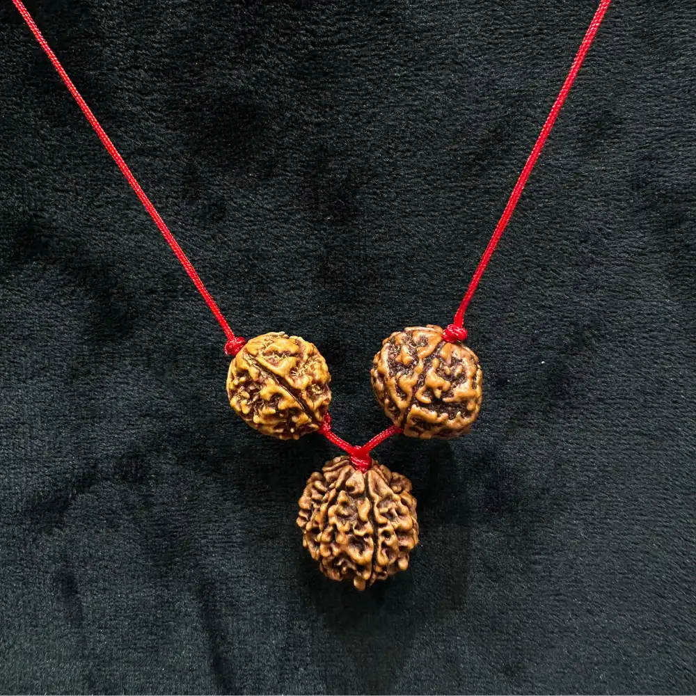 Vedikaura Harmony Healing Kawach – 4 Mukhi & 7 Mukhi Rudraksha for Emotional Balance, Communication & Inner Peace