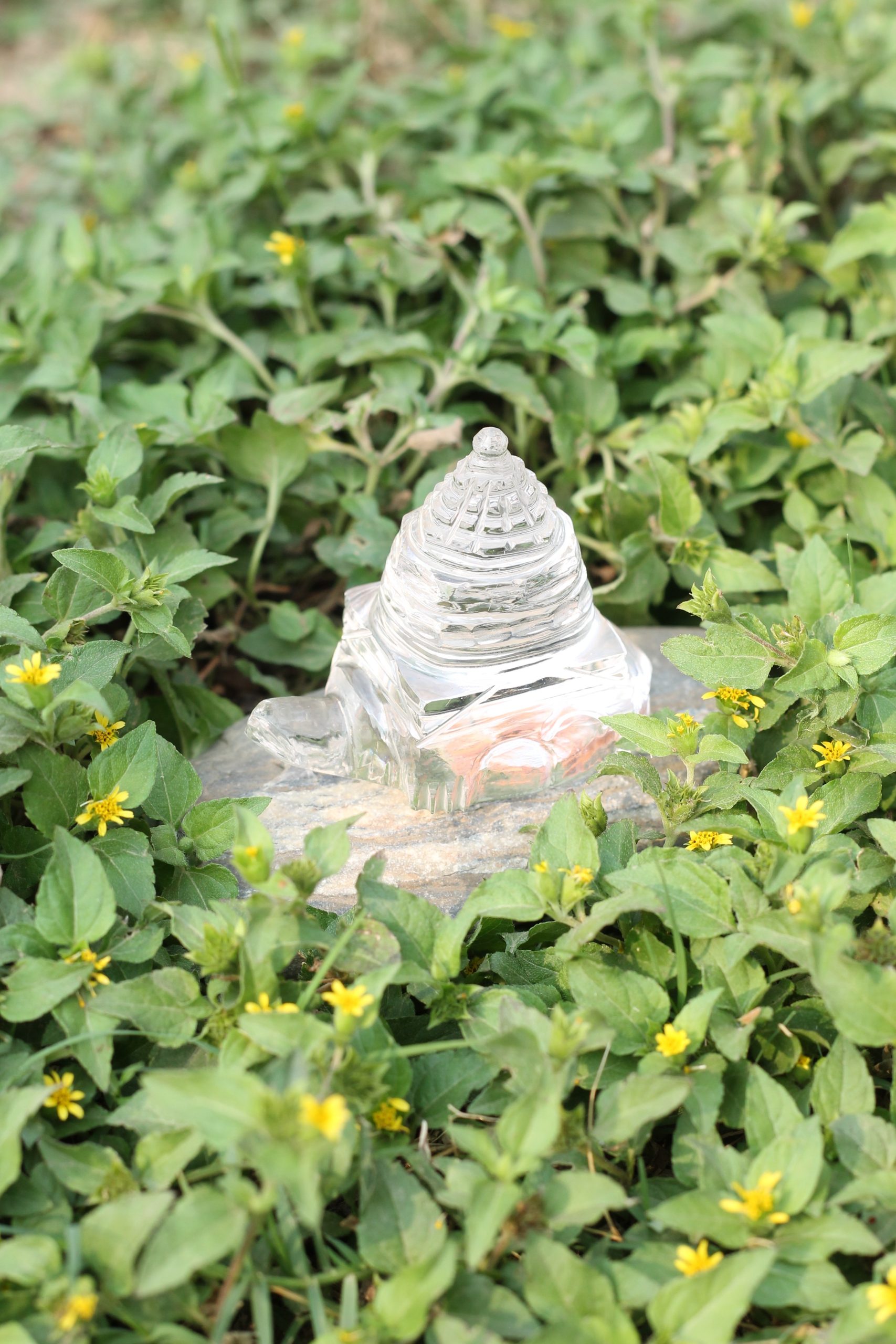 Vedikaura Sphatik Tortoise Shree Yantra