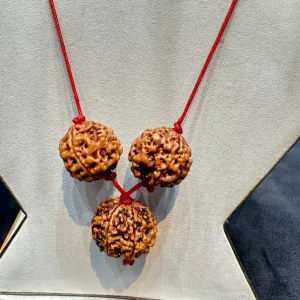 Vedikaura Saraswati Wisdom Kawach – 4 Mukhi & 6 Mukhi Rudraksha for Intelligence, Learning & Communication