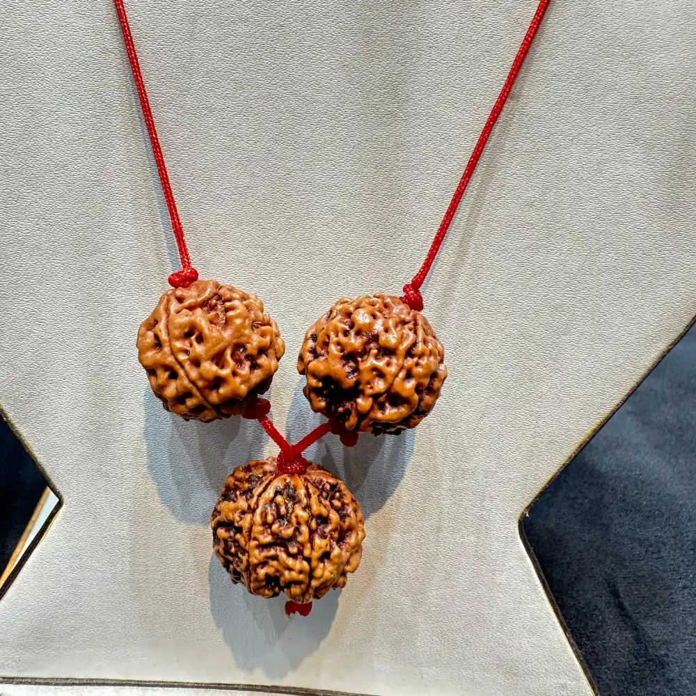 Vedikaura Saraswati Wisdom Kawach – 4 Mukhi & 6 Mukhi Rudraksha for Intelligence, Learning & Communication