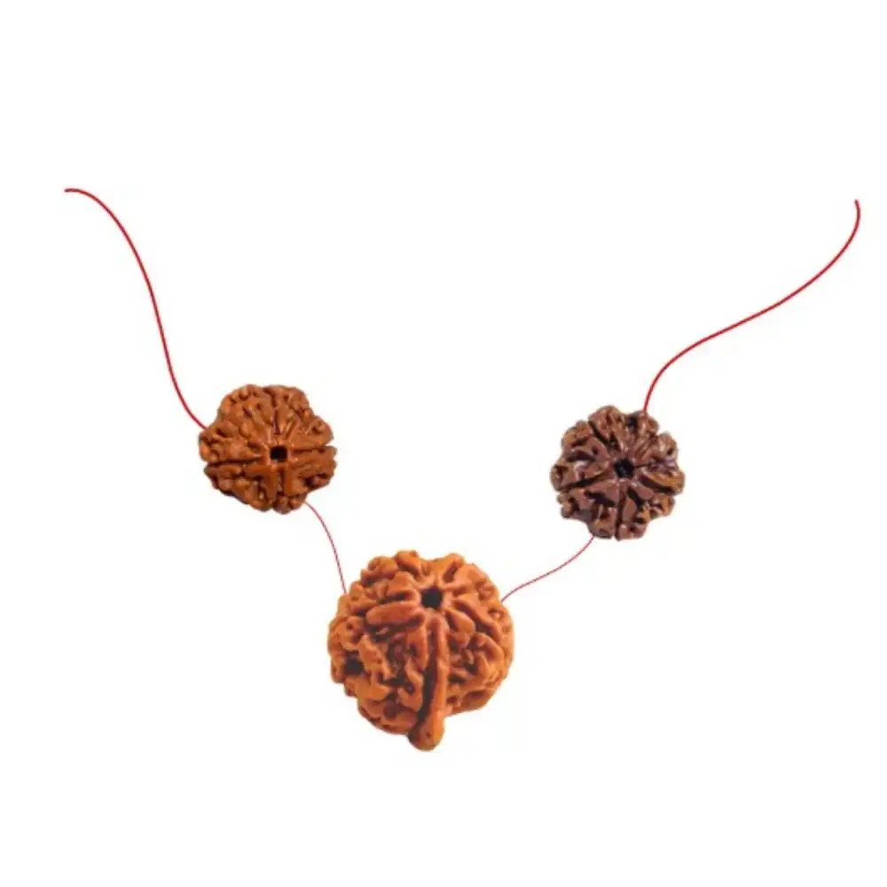 Vedikaura Sidhivinayak Blessing Kawach – Ganesh, 4 Mukhi & 5 Mukhi Rudraksha for Wisdom, Success & Divine Protection