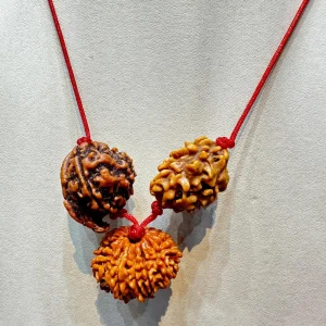 Vedikaura Success Shield Kawach – 11 Mukhi, Ganesh & 2 Mukhi Rudraksha for Power, Clarity & Protection