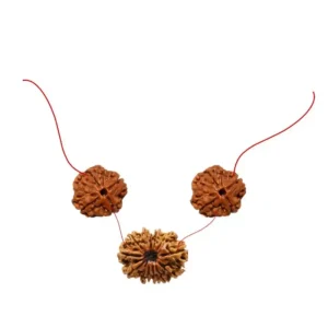 Vedikaura Svasthya Suraksha Kawach – 12 Mukhi & 4 Mukhi Rudraksha for Health, Vitality & Inner Strength