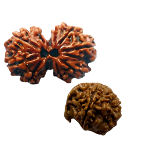 Vedikaura Gauri Shankar + Ganesh Rudraksha Kawach – Union, Protection & Divine Blessings