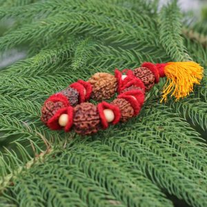 Vedikaura Rudraksh Energy Kawach – Divine Protection & Multi-Mukhi Energy Shield