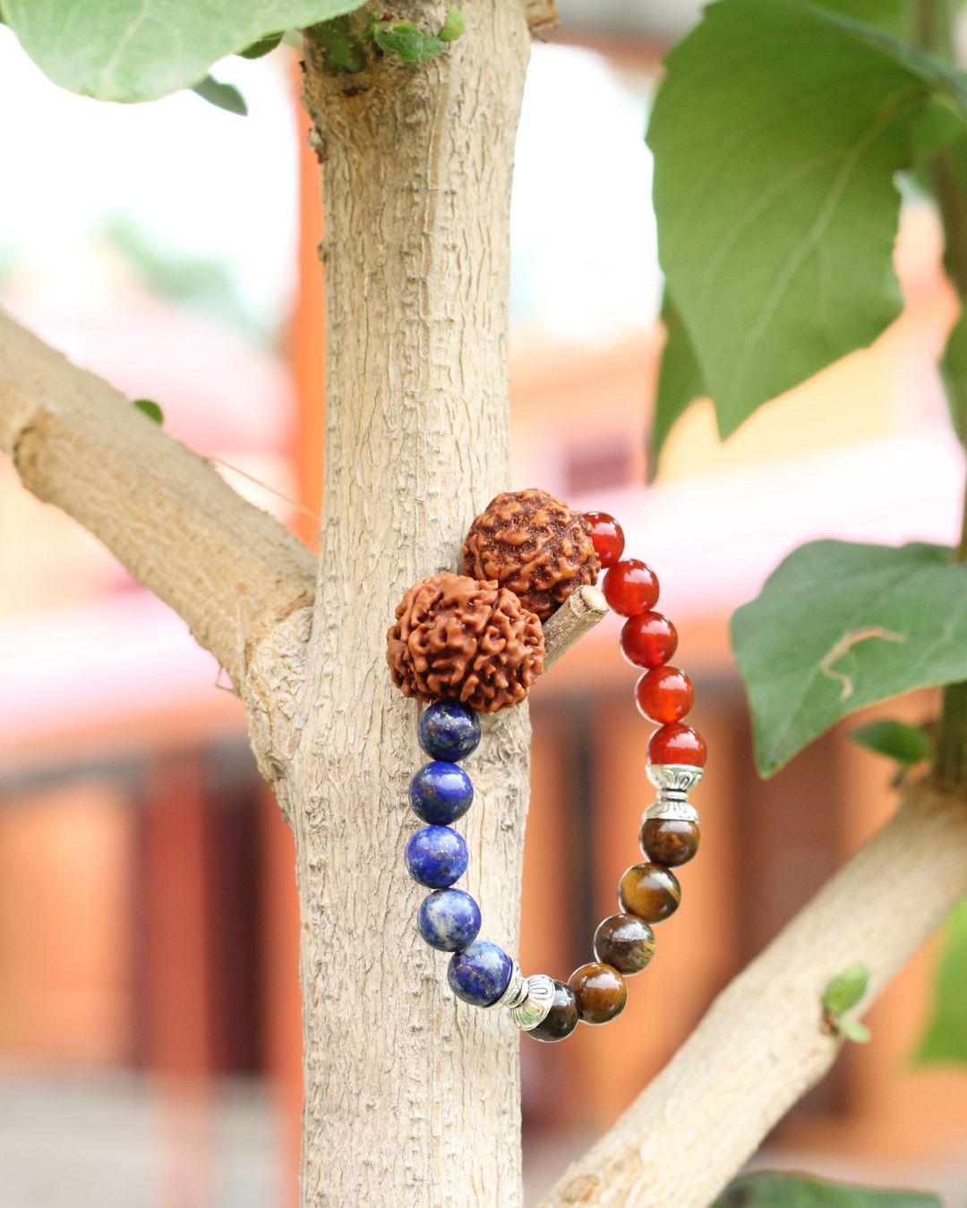 Vedikaura The Pathfinder Bracelet – Career Growth & Success Bracelet