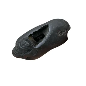 Vedikaura Laxmi Narayan Shaligram Ji – Prosperity, Harmony & Divine Grace