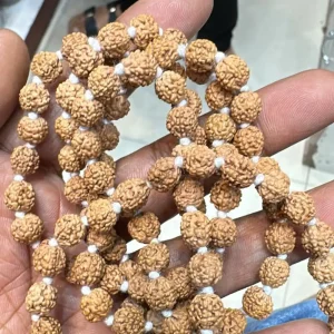 Vedikaura Rudraksh Jap Mala – Authentic Spiritual Beads for Meditation & Healing