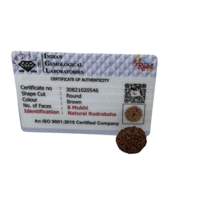 Vedikaura 8 Mukhi Indonesian Rudraksha – Blessings of Lord Ganesha