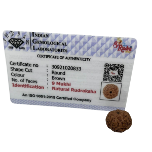 Vedikaura 9 Mukhi Indonesian Rudraksha – Power of Goddess Durga
